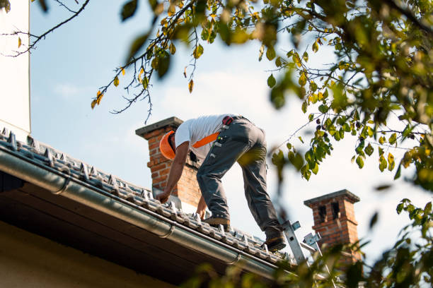 Roof Gutter Cleaning in Marvell, AR