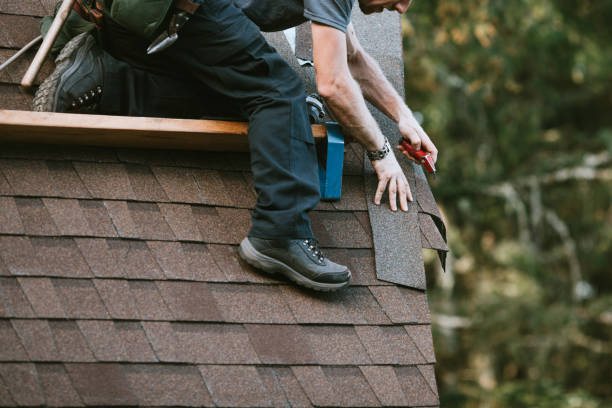 Roof Gutter Cleaning in Marvell, AR